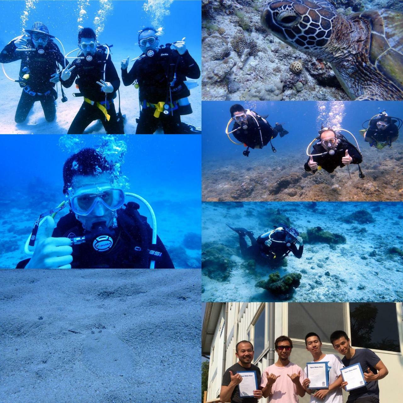 Hot Diving Hostel Đảo Tiểu Lưu Cầu Ngoại thất bức ảnh